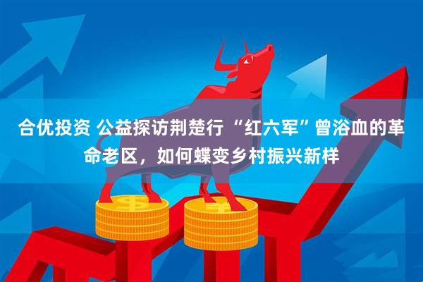 合优投资 公益探访荆楚行 “红六军”曾浴血的革命老区，如何蝶变乡村振兴新样