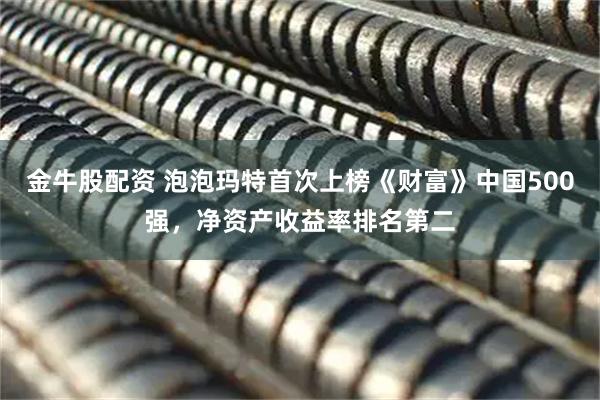 金牛股配资 泡泡玛特首次上榜《财富》中国500强，净资产收益率排名第二